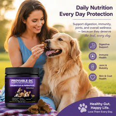 180ct Dog & Cat Probiotic Prebiotic Soft Chews - Chicken