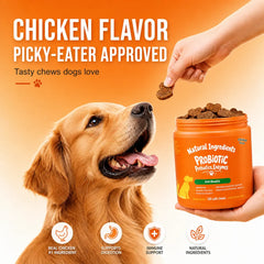 Probiotics & Prebiotics Soft Chews for Dogs and Cats