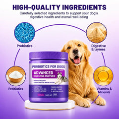 Probiotics for Dogs – 180 Soft Chews with Prebiotics & Chicken Flavor
